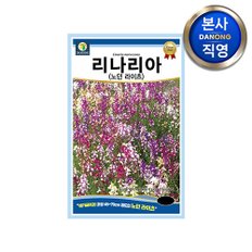 리나리아 노던라이츠 씨앗 200립 . 애기금어초 일년생 야생화 꽃 화단 꽃씨 종자