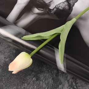 [월데코] 피어나 한송이 튤립 조화(피치)