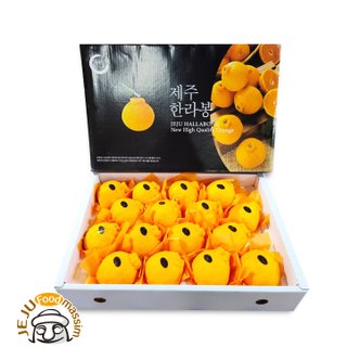 제주푸드마씸 제주 화산송이 한라봉 3kg (선물용, 대과, 9-10과, 실중량)