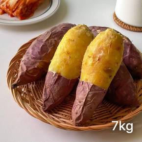 다모 해남 밤 고구마 3.5kg+3.5kg (총 7kg)[34497289]