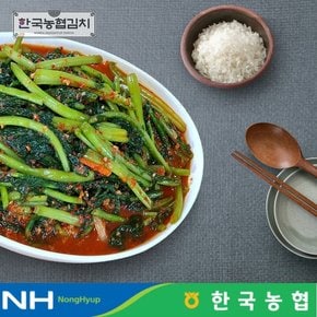 한국김치 전라도 순천 남도 열무김치 3kg