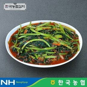 한국김치 전라도 순천 남도 열무김치 3kg