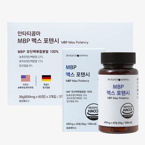 안타티콤마 MBP 맥스 포텐시 600mg 60정 3개입 세트