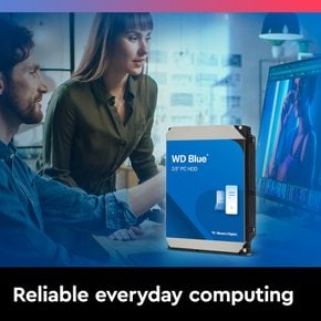 WD60EZAX [WD Blue(6TB 3.5인치 SATA 6G 5400rpm 256MB CMR)]