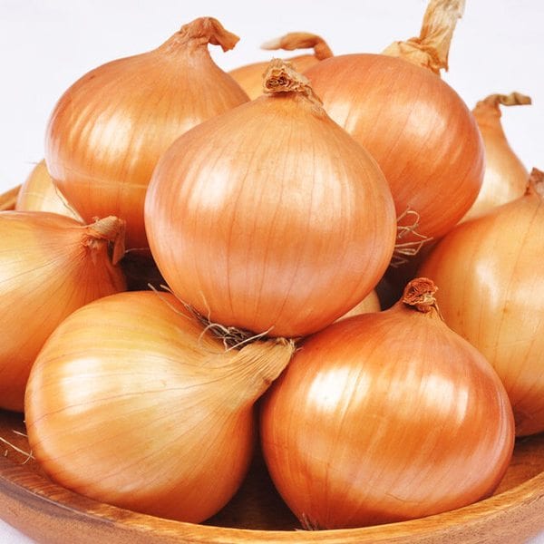 [선별배송] 25년 햇양파 5kg(소/장아찌용 100g 미만)