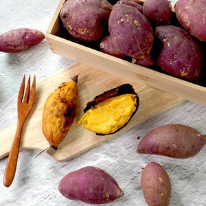 더조은푸드 [박대성님 생산] [더조은] 호풍미 호박고구마 10kg 특상 (100-300g)