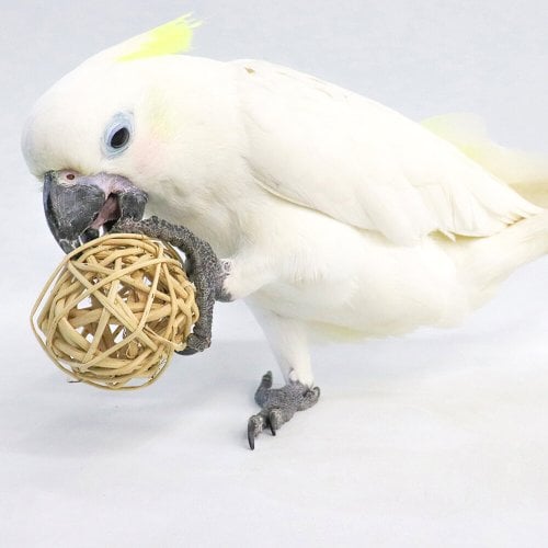 상품이미지1