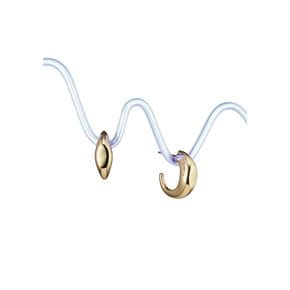 Curio Signet Earring