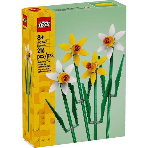 이미지1