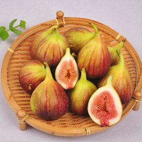 무화과 본고장 영암 무화과 생과 1kg(500g 2팩 팩당 5-10개입)