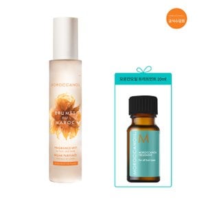 [모로칸오일 공식수입원] 브룸 드 마로크 100ml + 오일 10ml