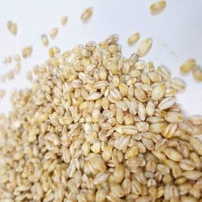 국내산 늘보리 1kg