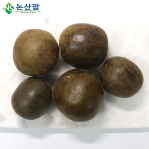 나한과 나한과차 1개(소) 구운나한과