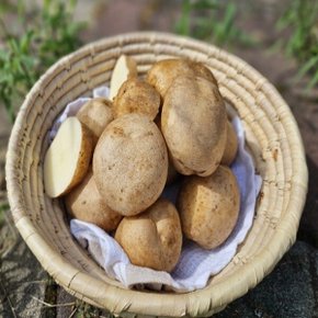 국내산 햇 수미 감자 10kg (중/40-70g)