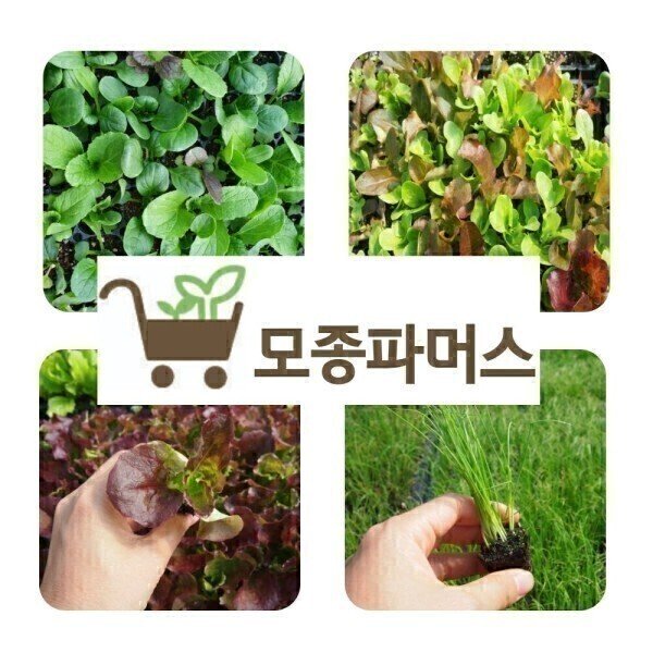 확대된 대표 상품이미지1