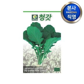 청갓 씨앗 10g . 야채 채소 텃밭 파종 재배 주말 농장 씨 종자