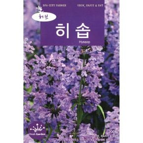 씨앗 허브 히솝 2024 X ( 2매입 )