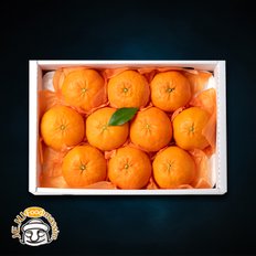 [1/15(수)순차출고] 현가원 서귀포 레드향 2kg (6-9과, 실중량)