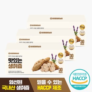 참앤들황토농원 맛있는 지리산 生 칡즙 100ml x 30포 3박스