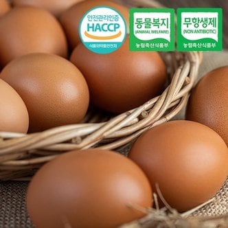  [동물복지/무항생제/HACCP] 웰굿 구운유정란 계란 30구(대-특란)