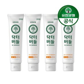 닥터버들 토탈케어 치약 100g 4개