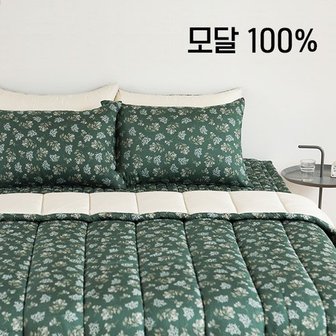 데일리라이크 {~10/27일까지 김해점 할인 행사!!} 소프트 모달 이불세트 - 15 Lace flower : green 퀸