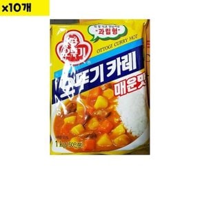 식자재 식재료 도매 매운맛 카레 오뚜기 1Kg x10개 (WD2E1DB)