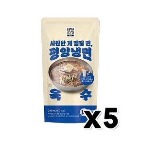 유어스 평양냉면육수 M 아이스파우치음료 230ml x 5개