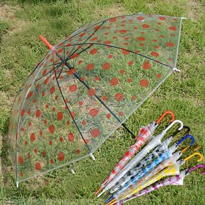 투명비닐 자동우산 투명우산 비닐우산 땡땡이우산 자동우산 우산_P029636077