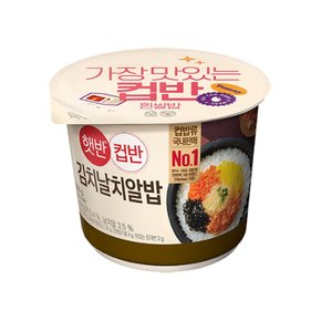 햇반 컵반 김치날치알밥 즉석간편조리 188g x 12개