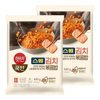  CJ 햇반쿡반 스팸김치볶음밥 440g X 2봉