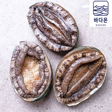 바다온 깐손질전복 / 활전복 사이즈 골라잡기