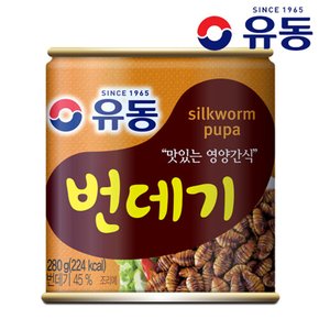 번데기 280g 유동공식판매처