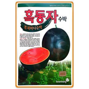 흑피 애플수박씨앗 흑동자 미니수박 씨앗 수박씨 종자 10립