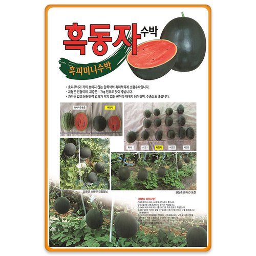 상품이미지2