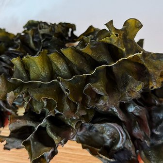 푸드앳홈 국내산 완도 건미역귀 250g x 2팩