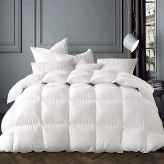  미국 구스다운 이불 Globon Winter White Goose Down Comforter Queen SizeDown Duvet ert 50 OZ