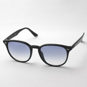 Ray-Ban RB4259F 60119 RayBan 정규 레이 밴 일본 최대급의 구색 레이 밴 선글라스 레이디스