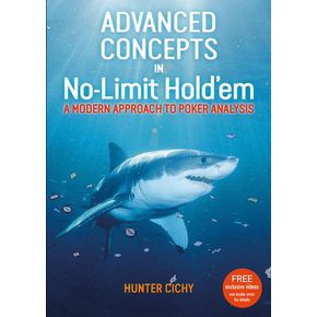 Advanced Concepts in No-Limit Hold`em