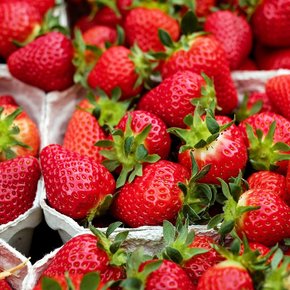 냉동 딸기 1kg 페루산 주스용 베이킹 IQF