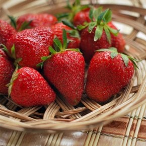 냉동 딸기 1kg 페루산 주스용 베이킹 IQF