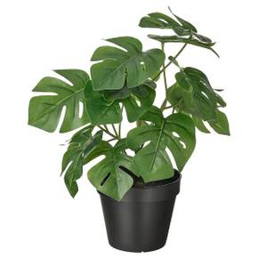 FEJKA 인조식물 몬스테라 12cm