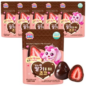 동결건조 딸기를 품은 초코 아기간식 6개 60g