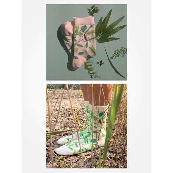 남녀 공용 자수포인트 양말 -앵무새