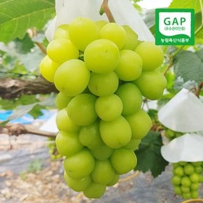 [산지직송] 영동 샤인머스켓 1.5kg(2-3송이내외)