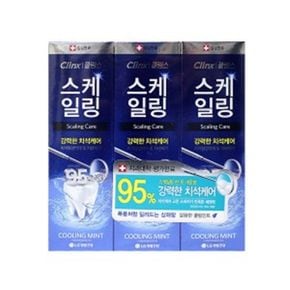 샤인빈 스케일링케어 쿨링 민트치약(100g/3개입)