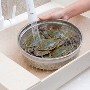 [멤버십]알텐바흐 뽀큐트 찜기 스텐 만두 이유식 야채찜기 멀티 하이브리드 스티머 24cm