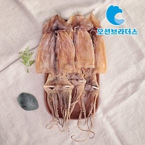 고소한 건오징어 750g / 10마리