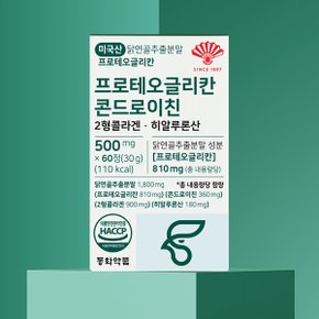 프로테오글리칸 콘드로이친 2형콜라겐 히알루론산 2병 (120정)