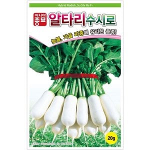 아시아종묘 무씨앗종자 수시로 알타리(20g)